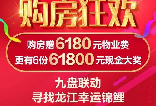 哈市房产爆料最新消息新闻,揭秘价格波动与政策影响